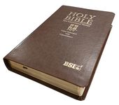 Holy Bible (NIV) New International Version (Red Letter) Cross-Reference with Concordance Brown BSI