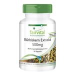 Fairvital | Pumpkin Seed Extract 500 mg - 90 Capsules - 10-fold Concentrated with Selenium and Vitamin E - Highly dosed - Vegan - Made in Germany