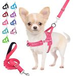 Small Animal Harnesses