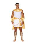 DreamGirl Men's He's A God Costume, White, Medium