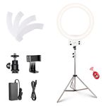 Neewer 18-inch White LED Ring Light with Silver Light Stand Lighting Kit Dimmable 42W 3200-5600K with Soft Filter, Hot Shoe Adapter, Cellphone Holder for Make-up Video Shooting