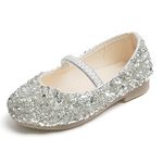 Princess Shoes Girls Glitter Mary Jane Flat Shoes Sequin Party Shoes Wedding Birthday Dress Shoes Cosplay Shoes for 2-7 Years Toddlers Kids Silver