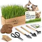 Cat Grass Kit for Indoor Cats – x4 