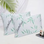 ExceptionalSheets Soft Pillows