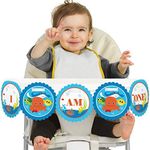 Big Dot of Happiness Under The Sea Critters 1st Birthday - I Am One - First Birthday High Chair Banner