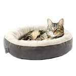 Cat Beds Walmart