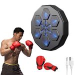 Electronic Punching Bag