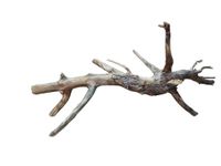 RUKDA Pet Products Natural Driftwood Aquarium Decor - Wood Branches for Reptile/Fish Tank Decorations, Tree Root | 100% Natural Wood | Root Aquarium & Terrarium Decor | Natural Roots - 7 to 10 inch