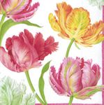 Caspari Entertaining Tulip Dance Cocktail Napkins, Box of 40