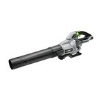 Ego Leaf Blower Lowes