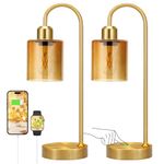 Amber Gold Desk Lamps for Home Office - 3 Way Dimmable Touch Gold Lamp with USB C+A Ports, Nightstand Lamp with Glass Shade,Bedside Table Lamps for Night Stands, Bedroom，Living Room, LED Bulb Included