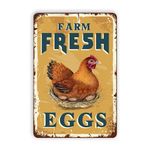 Farm Fresh Eggs Tin Signs - Vintage Country Chicken Hen Rooster Tin Signs Funny Chicken Coop Metal Signs Outdoor Chicken Decor For Chicken Lovers Chicken House Decor 8×12 Inch