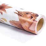 RUSPEPA Wrapping Paper Roll - Mini Roll - Squirrel and Leaves Design Great for Thanksgiving, Autumn, Holiday and Party - 17 Inches X 32.8 Feet