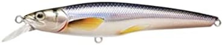 Fishing Tackle Lures Rainbow Smelt 