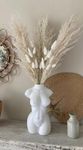 CLOUD INDIA Decorative 5 Pampas Grass 10 Bunny Tails Naturally Dried Flower for Vase Filler for Home Dcor|Indoor |Office Dcor (White)