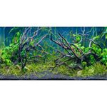 AWERT 48x24 inches Tropical Fish Tank Background River Bed & Lake Aquatic Plant Undersea Tree Branch Aquarium Background Vinyl