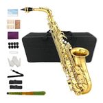 Yinfente Eb Flat Alto Saxophone Kit with 10 Reeds, 8 Pads, Hard Case, Gold Finish