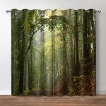 Jekeno Mountain Forest Blackout Curtains Misty Foggy Nature Scenery Mountain Woodland Trees Landscape Grommet Top Drapes Decor Bedroom Living Room Darkening Window Treatments 2 Panels Set, 52"x 84"