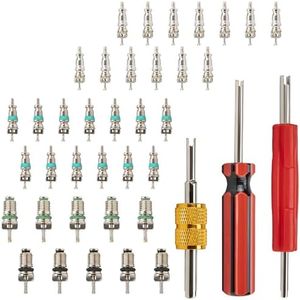 39 PCS Air Conditioning Valve Core Accessories Kit, R12 R134a Refrigeration Schrader Tire Valve Stem Cores with Single & Dual Heads Valve Core Remover Installer Tool, HVAC System Seal Caps Kit