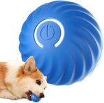 Interactive Pet Toy Automatic Rolling Ball, 2024 Rechargeable USB Dog Toy Balls, Durable High Bounce Floating Rubber Dog Ball, Dog Rolling Ball with LED Flash Light, for Kittens, Puppies (Blue 1PCS)