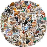 160 Pcs Cute Realistic Animal Vinyl Stickers for Kids Teachers Students School Supplies Zoo Animal Waterproof Water Bottle Stickers for Laptop Scrapbook Binders Skateboard Bike Bumper Helmet