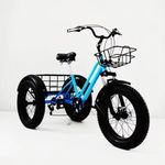 Motorized Tricycle For Adults