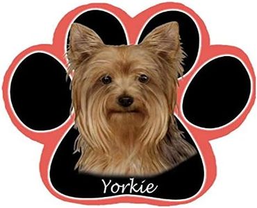 Yorkie Dog