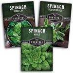 Spinach Se