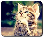 Art Plates brand - Praying Kitten Mouse Pad