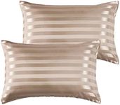 2 Pack Satin Pillowcases for Hair and Skin, Super Soft Silky Pillow Cases with Envelope Closure, Less Friction Less Wrinkles & Frizz (50 x 75cm, Champagne-Striped)