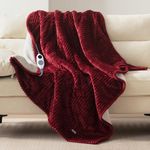 Westinghouse Heated Throw Blanket, 
