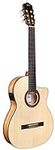 Cordoba C5-CET Limited Spalted Mapl