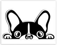 SkinoEu® 1 x Vinyl Self-Adhesive Stickers Cartoon Funny French Bulldog Laptop iPad Car Window Auto Moto Motorcycle Helmet Bike Skate Truck Racing Tuning B 88