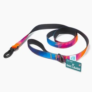 Embark Adventure Dog Leashes - Colorful, Strong, and Sturdy Dog Leash for Small, Medium, and Large Breed Dogs (Aurora, 5 Ft)