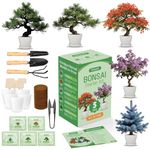 Bonsai Tree Kit for Beginners – 5 Bonsai Starter Kit for Beginner, Indoor for Growing Bonsai Plants with Tools & Planters – DIY Craft Gardening Gifts, White Elephant Gifts for Adults Men Women