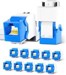 AMPCOM CAT6 RJ45 Keystone Jack - Reusable UTP Ethernet Wall Jack with Adjustable Ratchet Lock Design, No Tool and Zip Tie Required - 50u Gold Plated - Blue (12-Pack)
