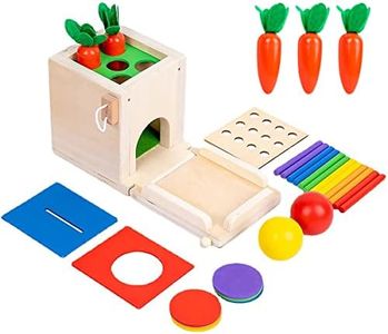 Wooden Play Kit Montessori Toy Including Carrot Harvest Coin Box Matchstick and Ball Drop Game Develop Fine Motor Skills Toddler Early Learning Educational Wooden Play Toy for Kids