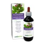 Lungwort (Pulmonaria officinalis) herb with Flowers Alcohol-Free Mother Tincture Naturalma - Liquid Extract Drops 200 ml - Food Supplement - Vegan