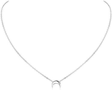 ChicSilver