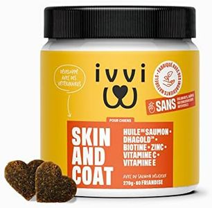 ivvi - Ski
