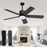 Biukis Black Ceiling Fans with Ligh