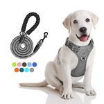 PoyPet No Pull Dog Harness and 5 Feet Leash Set, Release on Neck Reflective Adjustable Pet Vest, Front & Back 2 D-Ring and Soft Padded Pet Harness with Handle for Small to Large Dogs(Grey,M)