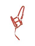 Tough 1 Nylon Foal Halter, Red, Suckling