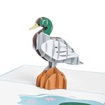 Rykamia Duck Pop Up Card, 4.75x7 inches, Duck 3D Birthday Card, Thank You, Get Well, Congratulations Card, Just Because, Thinking Of You, Anniversary Card, Card For Friend, Mom, Wife, Family