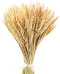 Uieke 17.7 Inches Dried Wheat Stalk