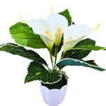 fancymart Artificial Calla Lily Flower with Plastic Pot (White, 1 Piece), Home and Office Décor, Artificial Flora -8453