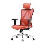 SIHOO M18 Ergonomic Office Chair fo