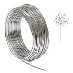 12 Gauge Aluminum Craft Wire, 100 Feet 2mm Thick Bendable Metal Crafting Wire for Sculpting, Modelling, Bonsai Training, Skeleton, Floral Making, Jewelry Making, Wire Weaving and Wrapping (Silver)