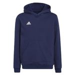 adidas Unisex Kids Entrada 22 Sweat Hoodie, Team Navy Blue 2, 13-14 Years