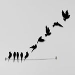 7 Decore | Wooden 3D 10 Pieces Birds on Rope Wall Art Panel | Wall Hanging Art Decoration Item for Living Room, Bedroom, Drawing Room, Dining Room & Office (Black)